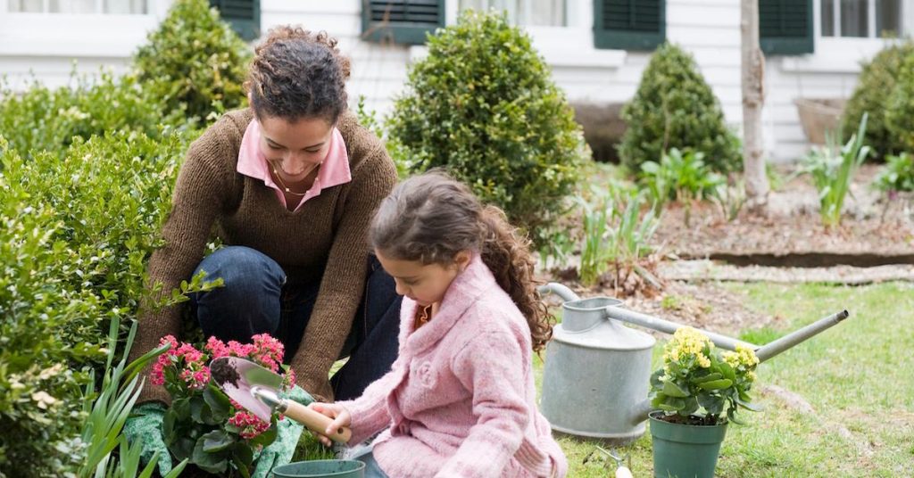 How Gardening Helps the Environment